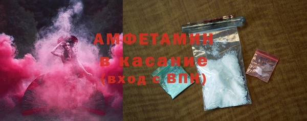 спиды Ельня