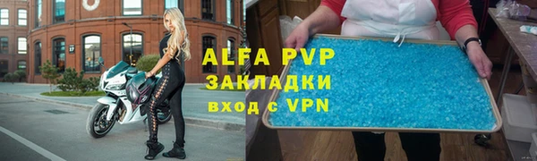 спиды Ельня