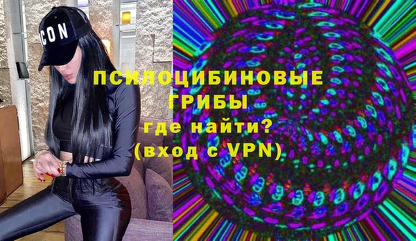 гидропоника Елабуга