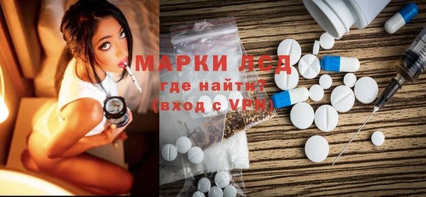 спиды Ельня