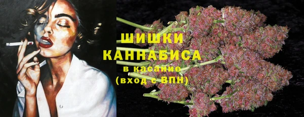 гидропоника Елабуга
