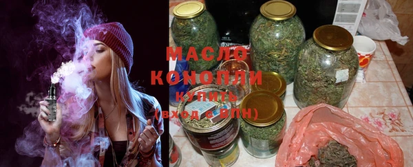 спиды Ельня