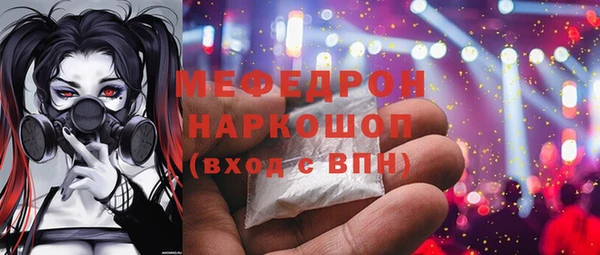 спиды Ельня