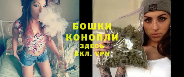 спиды Ельня